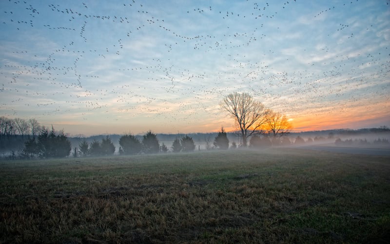 Sunrise near Jonesboro, Arkansas