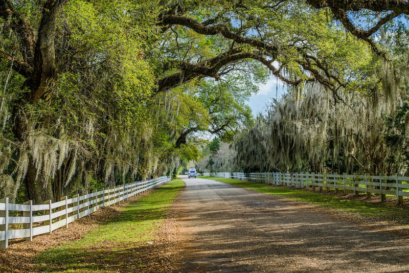 Country road Louisiana