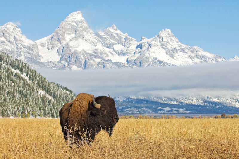 Wyoming landscape