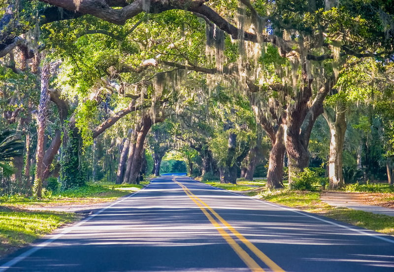 South Carolina road