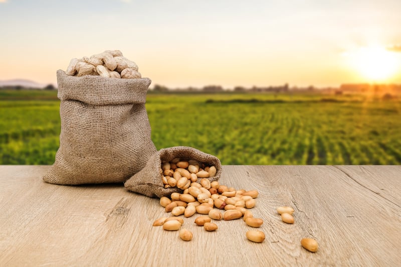 Peanut farm