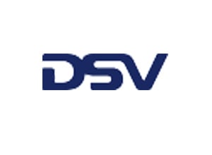 DSV logo