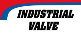 Industrial Valve logo